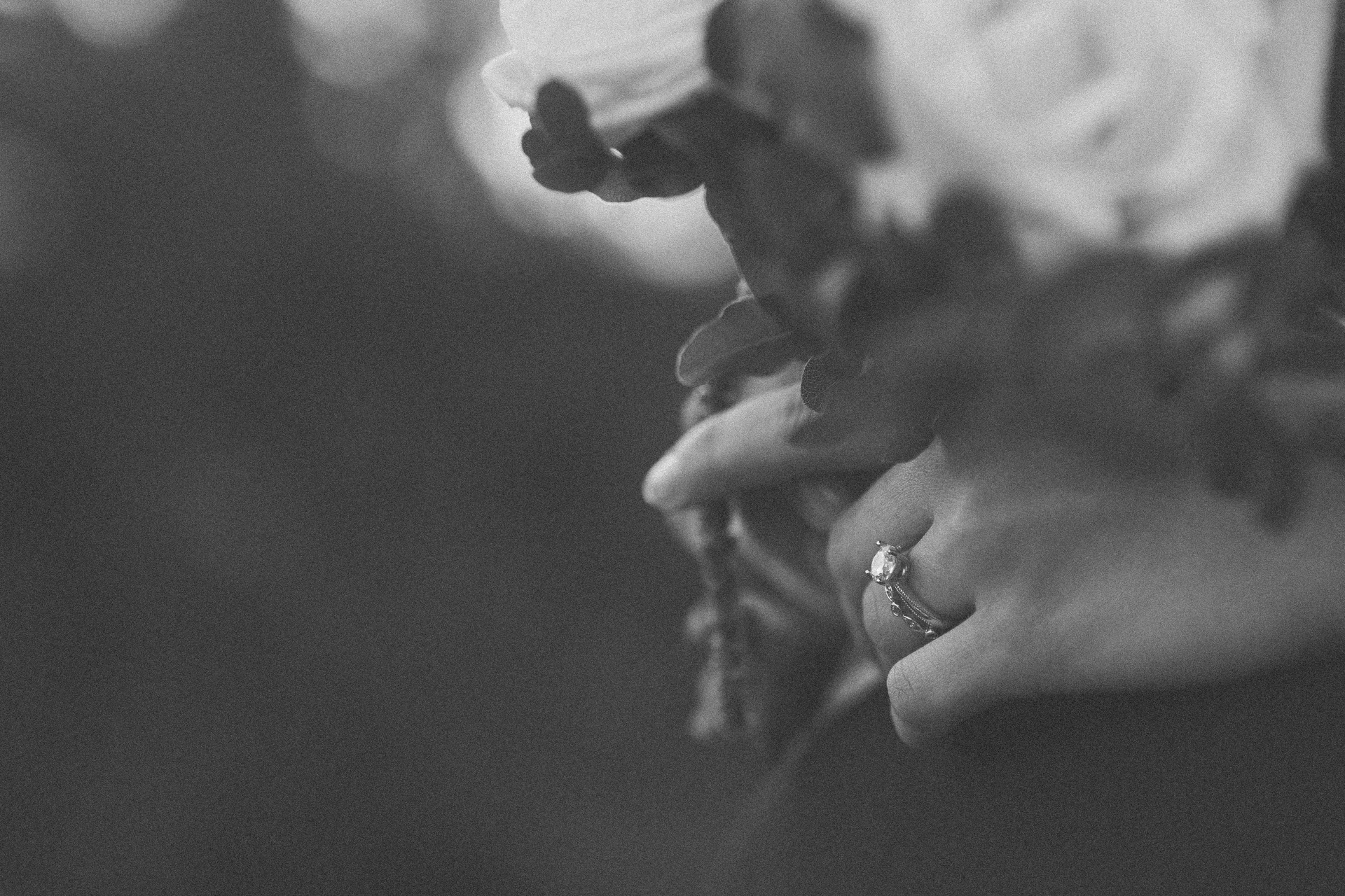 Hands with an engagement ring holding white flowers, Sydney